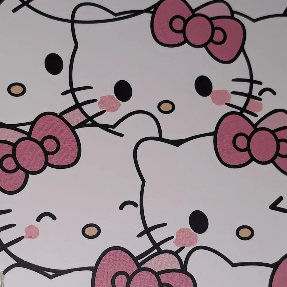 HELLO KITTY Spiral Notebook Adult Kids NEW